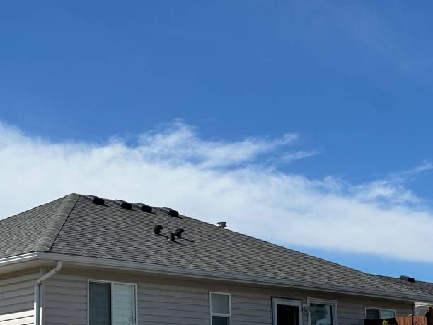 Best Roof Ventilation Installation  in Sherman, TX